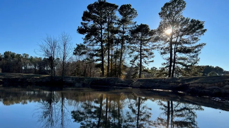 Overview of 11.64 acre ranch in Cass County, Texas