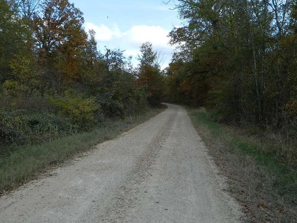 Overview of 36.5 acre hunting land in Red River County, Texas