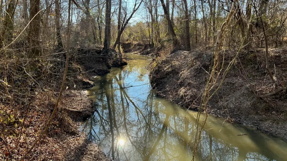 Overview of 36.86 acre ranch in Red River County, Texas