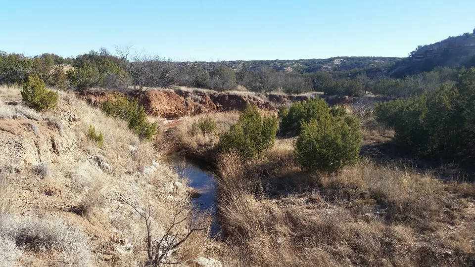 Overview of 3,655 acre hunting land in King County, Texas