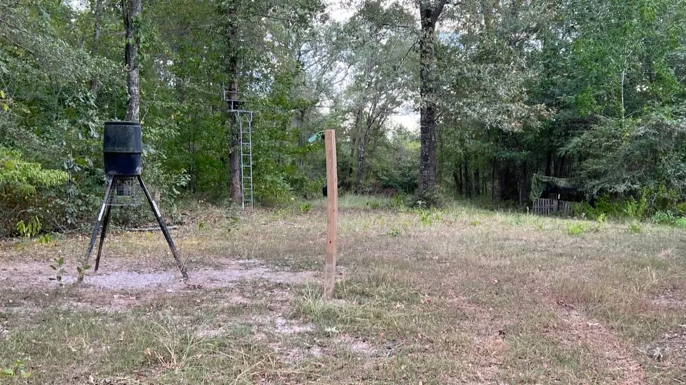 Overview of 38.29 acre hunting land in Red River County, Texas