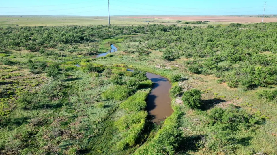 Overview of 390 acre timberland in King County, Texas