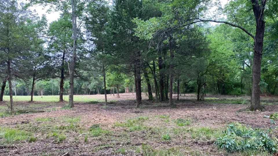 Overview of 11 acre ranch in Franklin County, Texas