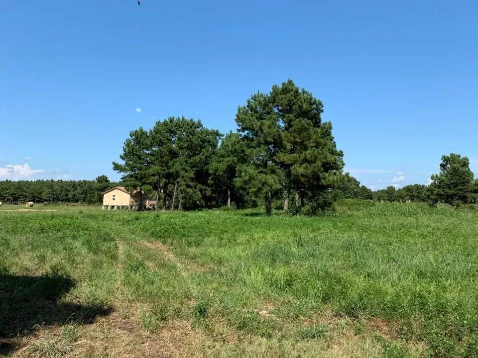 Overview of 40 acre ranch in Red River County, Texas