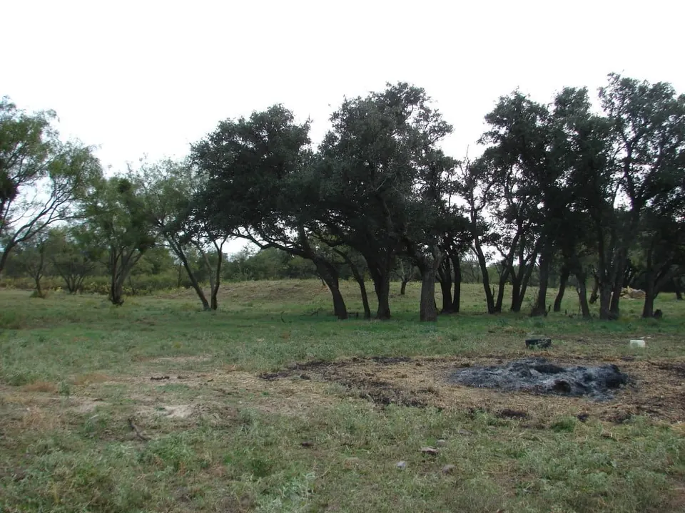 Overview of 41.18 acre ranch in Callahan County, Texas
