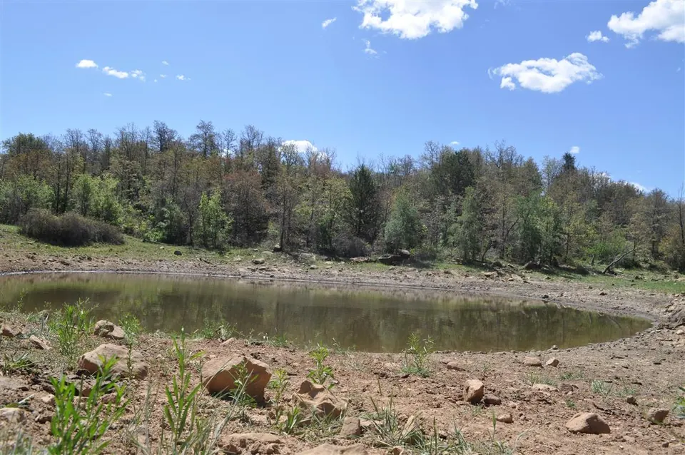 Overview of 413 acre hunting land in Jack County, Texas
