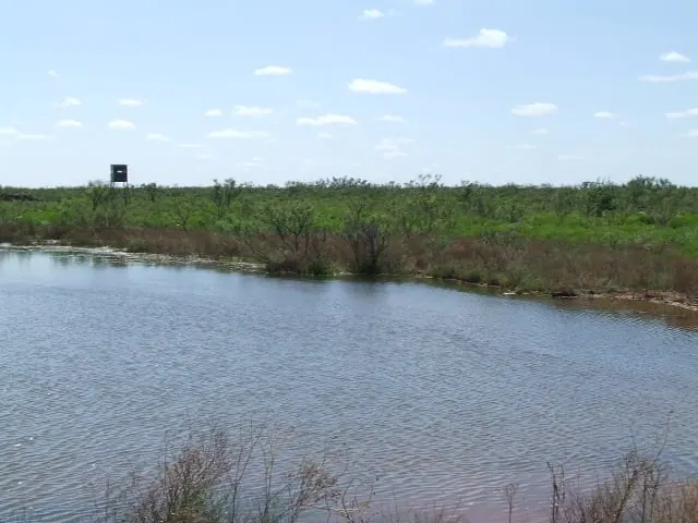 Overview of 4,173 acre hunting land in Foard County, Texas