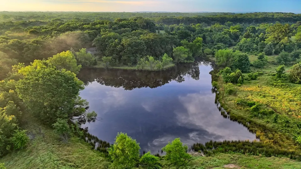 Overview of 419 acre hunting land in Henderson County, Texas