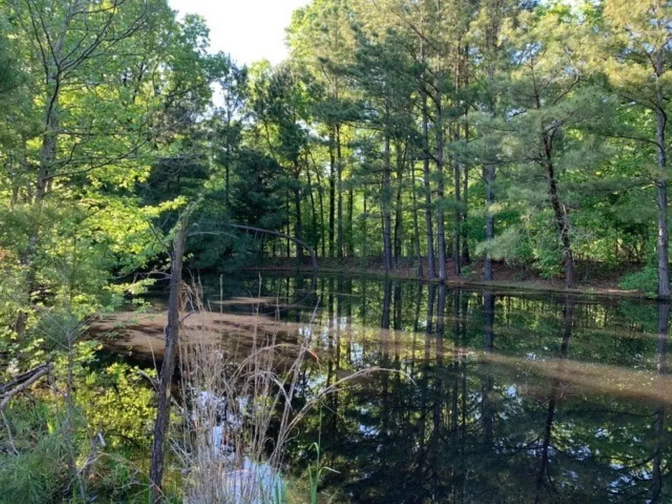 Overview of 42.33 acre ranch in Red River County, Texas