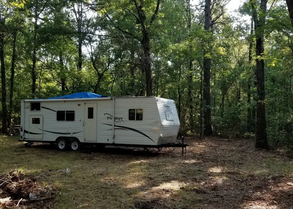 Overview of 44.01 acre hunting land in Red River County, Texas