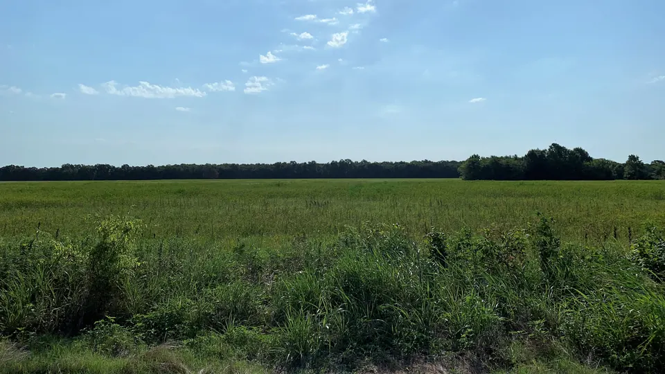 Overview of 45.72 acre ranch in Lamar County, Texas