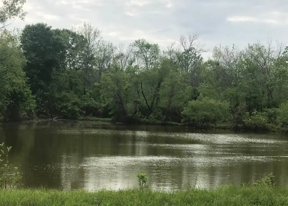 Overview of 451.98 acre timberland in Bowie County, Texas