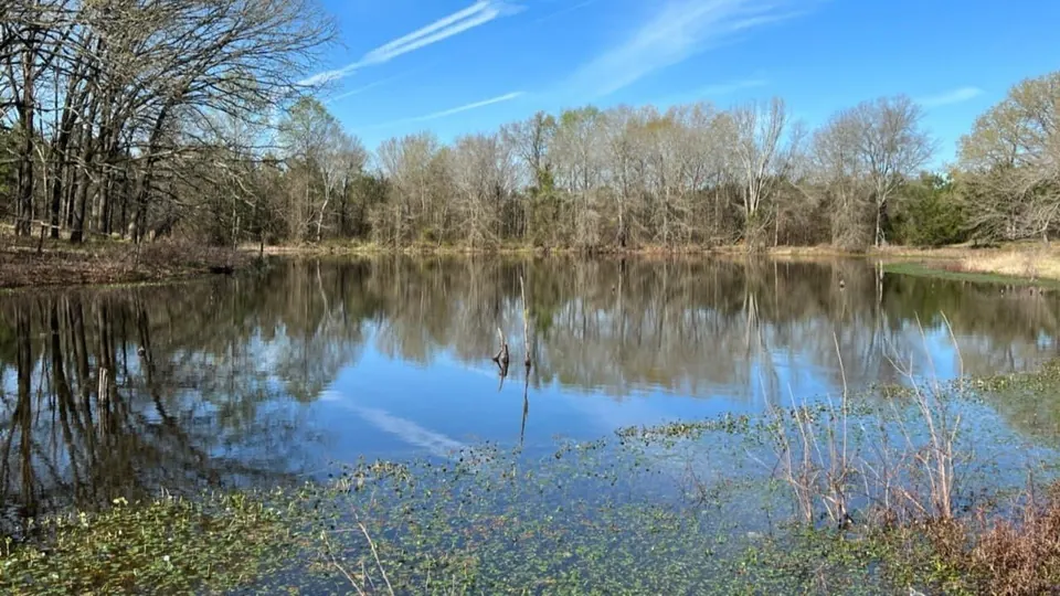 Overview of 451.98 acre hunting land in Bowie County, Texas