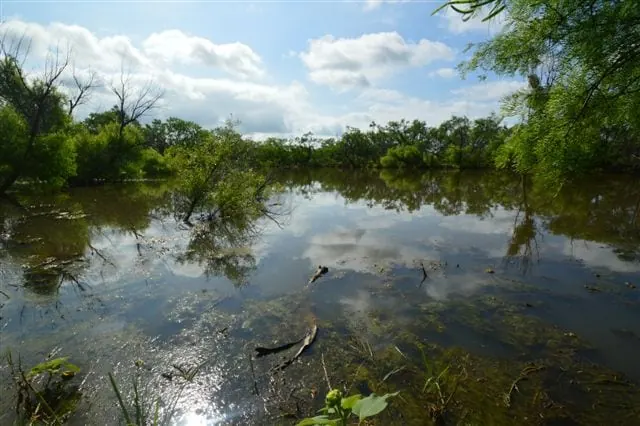 Overview of 481 acre hunting land in Throckmorton County, Texas