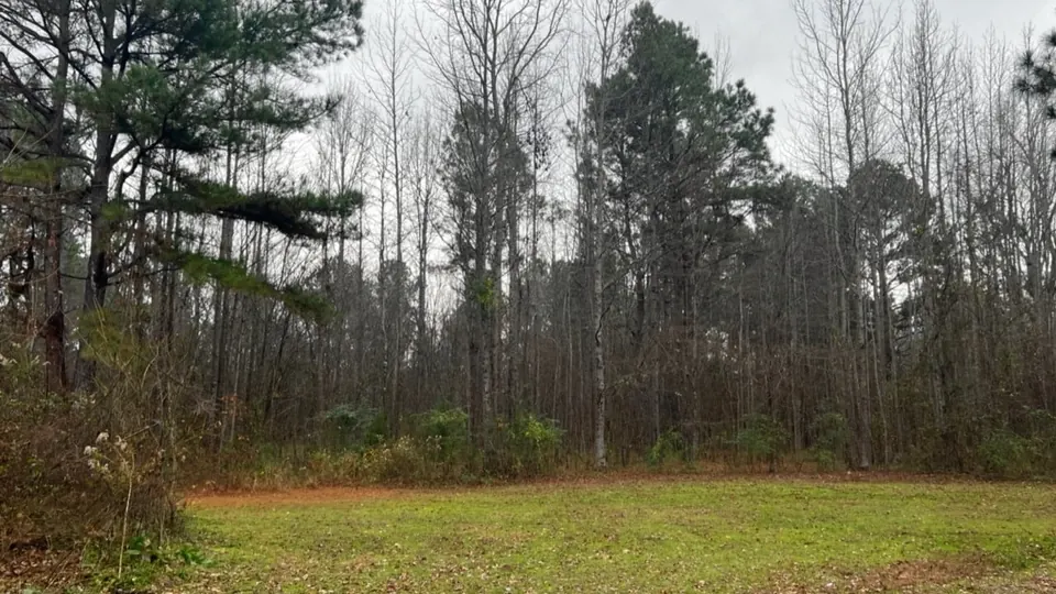Overview of 5.93 acre hunting land in Cass County, Texas