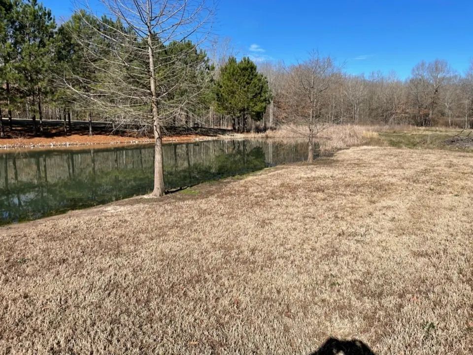 Overview of 5.5 acre hunting land in Red River County, Texas