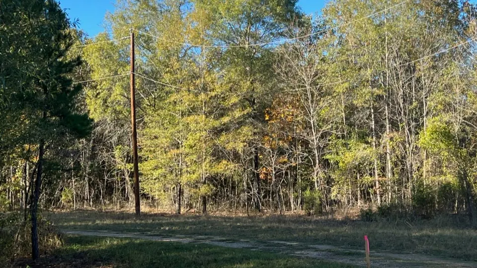 Overview of 5.04 acre ranch in Red River County, Texas