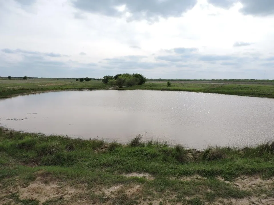 Overview of 50 acre ranch in Clay County, Texas