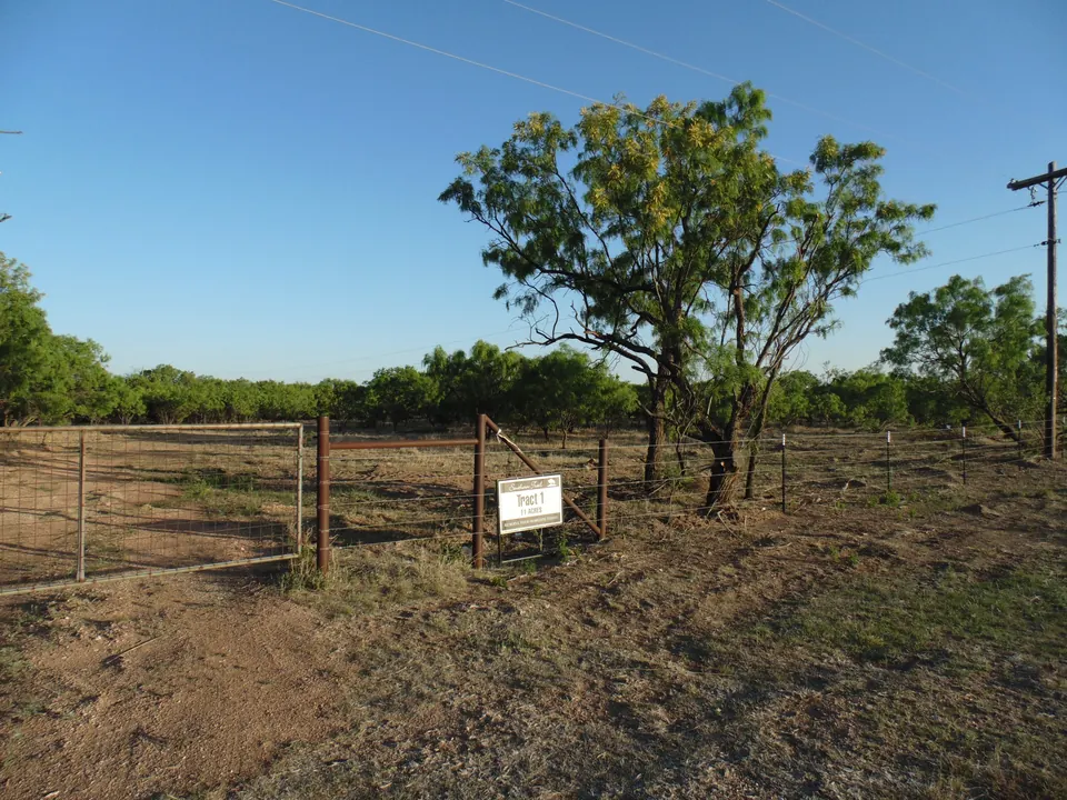 Overview of 11 acre hunting land in Taylor County, Texas