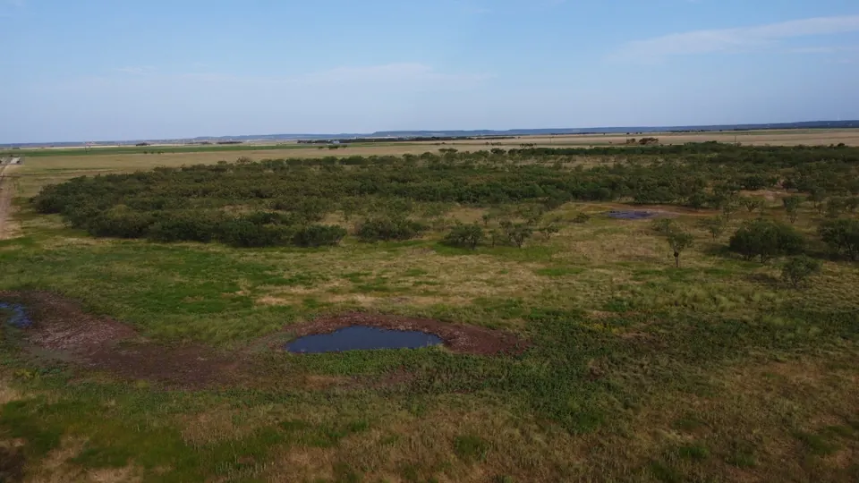 Overview of 39 acre hunting land in Taylor County, Texas