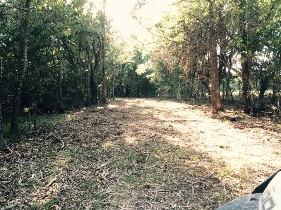 Overview of 51.75 acre farm in Red River County, Texas