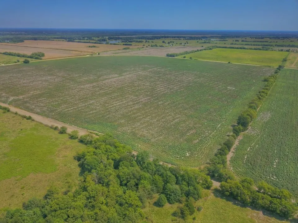 Overview of 524 acre farm in Delta County, Texas