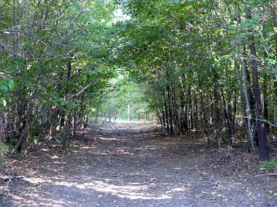 Overview of 53 acre ranch in Titus County, Texas