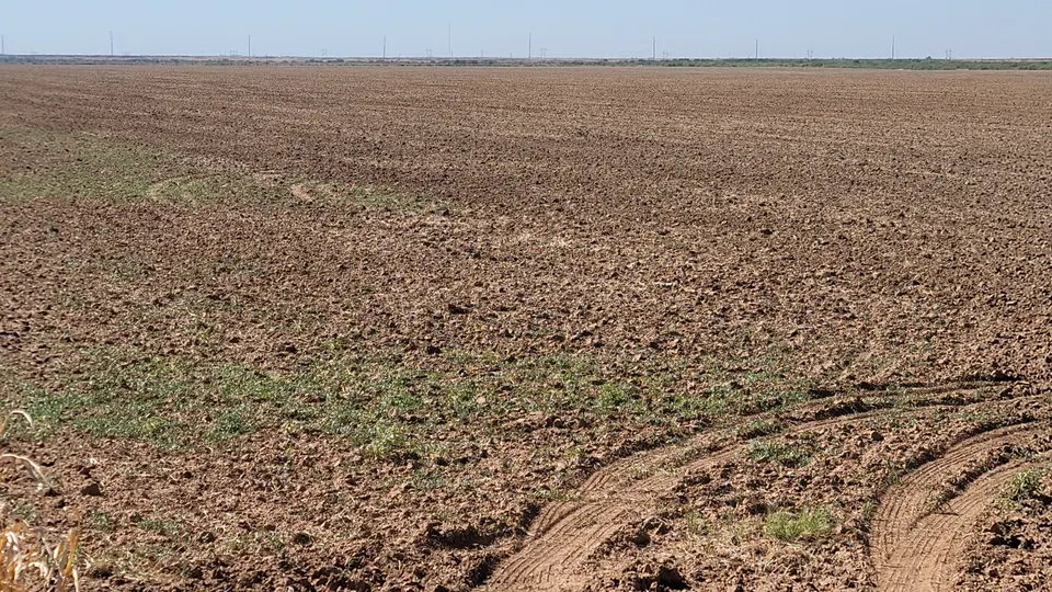 Overview of 530 acre farm in Wilbarger County, Texas
