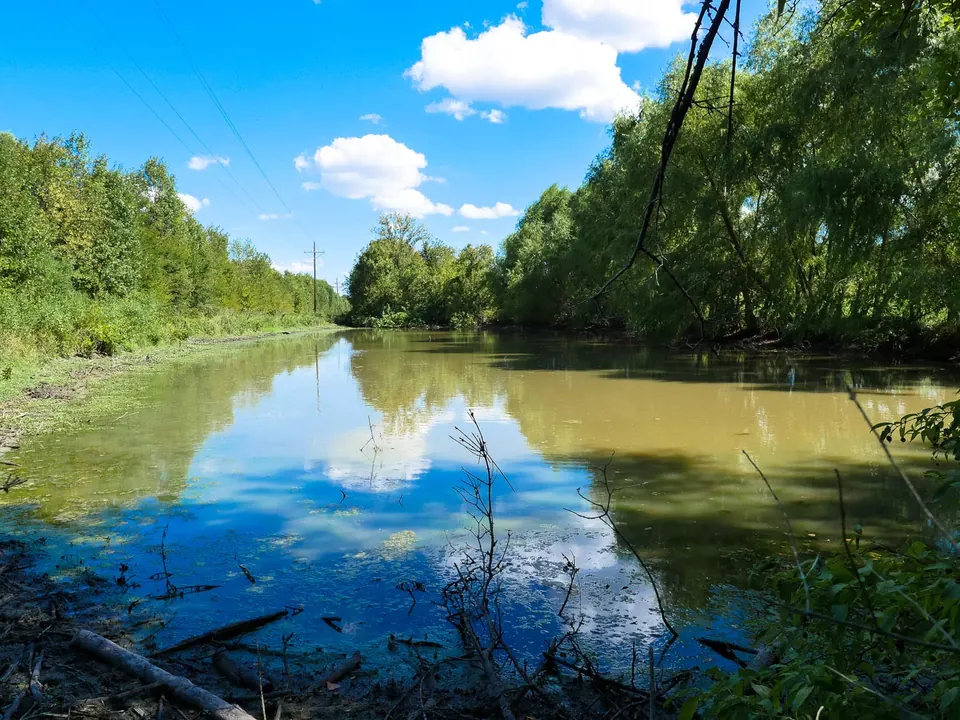 Overview of 55.7 acre hunting land in Red River County, Texas