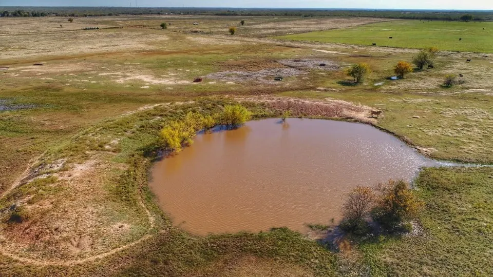 Overview of 55 acre ranch in Clay County, Texas