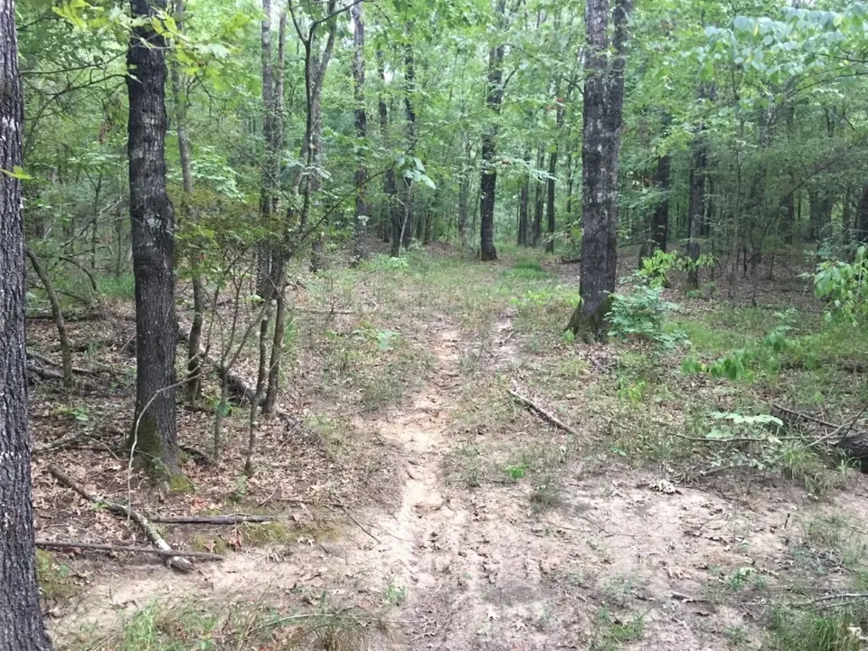 Overview of 59.83 acre ranch in Red River County, Texas