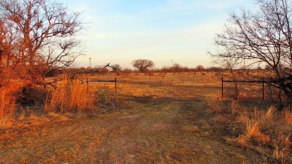 Overview of 11 acre hunting land in Taylor County, Texas