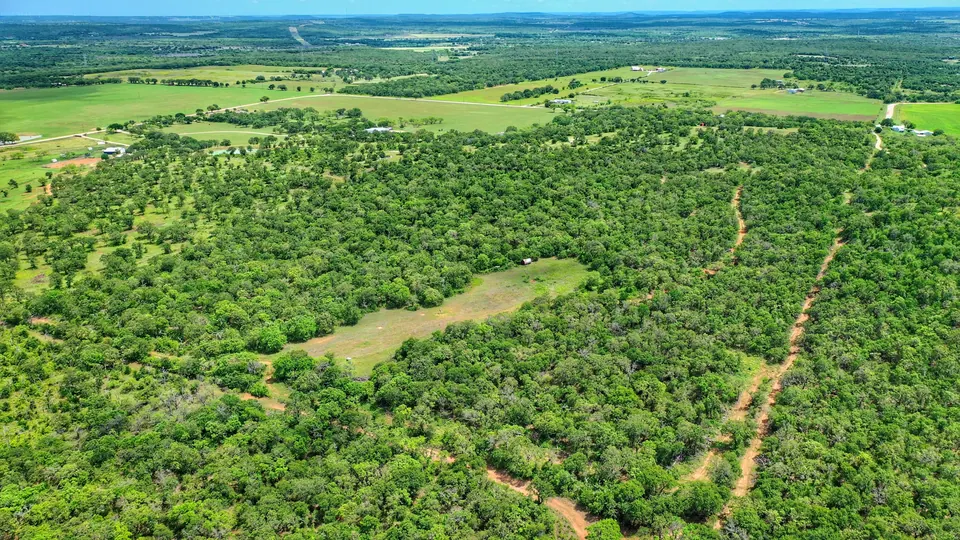 Overview of 61 acre timberland in Young County, Texas