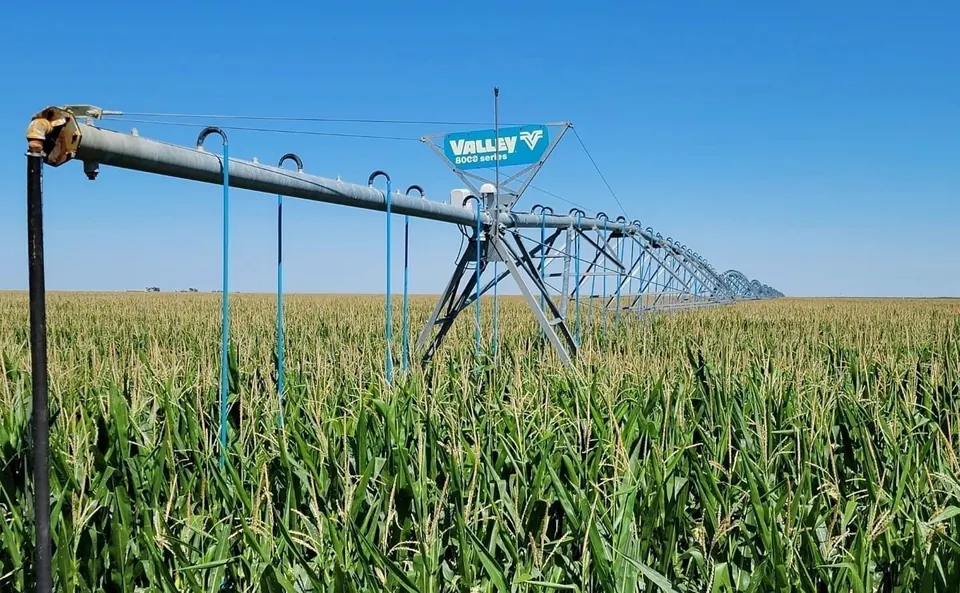 Center pivot irrigation system waters a large corn field, 640 acres in Baca County Colorado, 640.00 acres in Baca County, CO