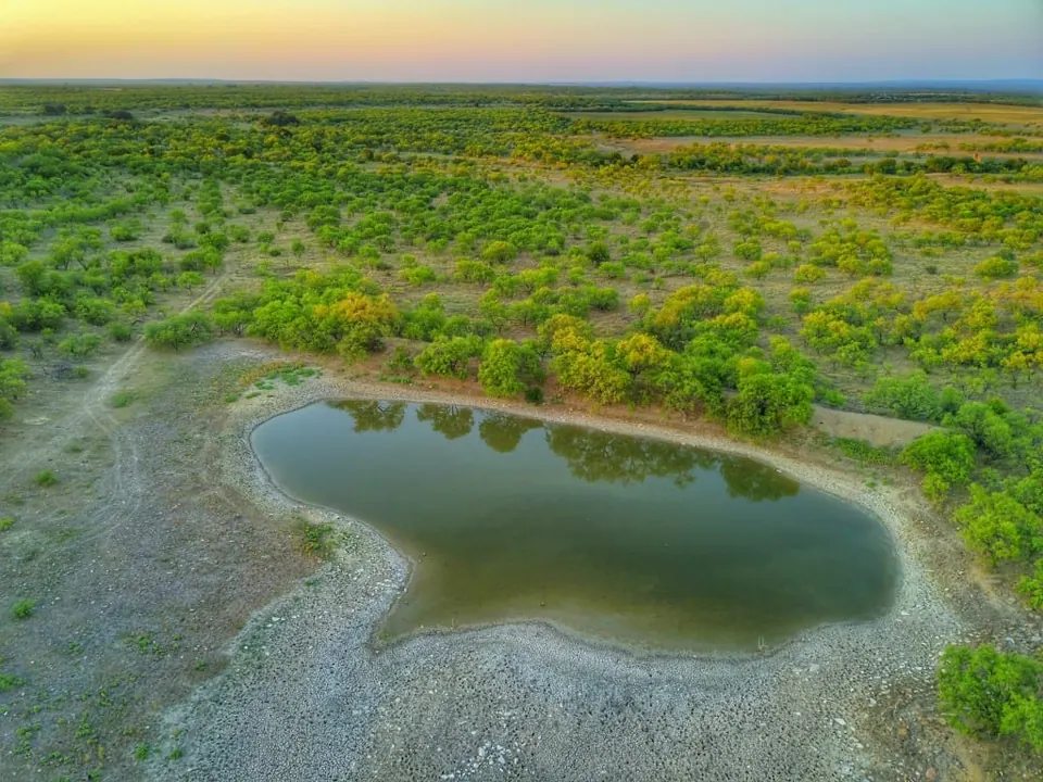 Overview of 640 acre hunting land in Callahan County, Texas