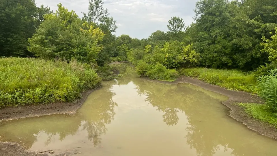 Overview of 65 acre hunting land in Red River County, Texas