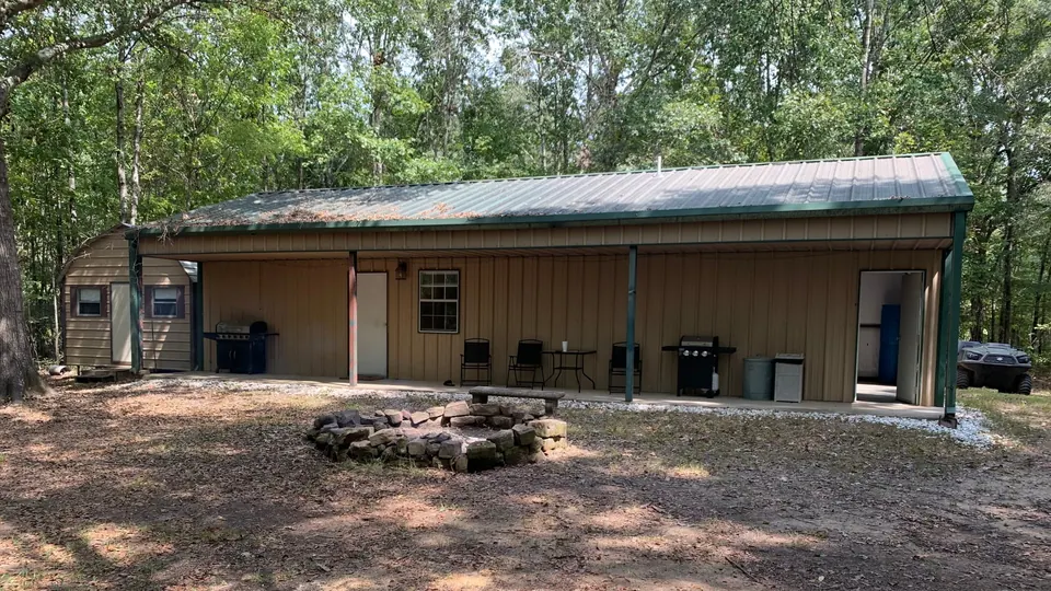 Overview of 65 acre timberland in Red River County, Texas