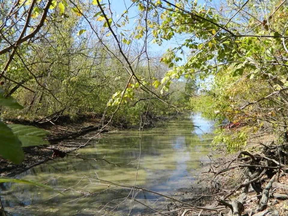 Overview of 65.81 acre ranch in Red River County, Texas