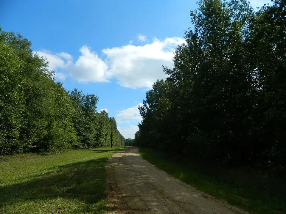 Overview of 66 acre hunting land in Red River County, Texas