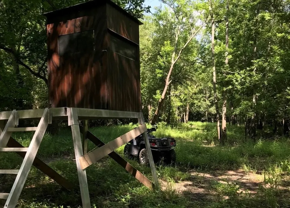 Overview of 66.56 acre ranch in Red River County, Texas