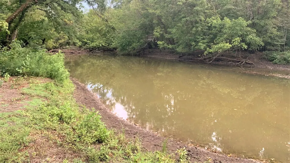 Overview of 65.96 acre ranch in Red River County, Texas