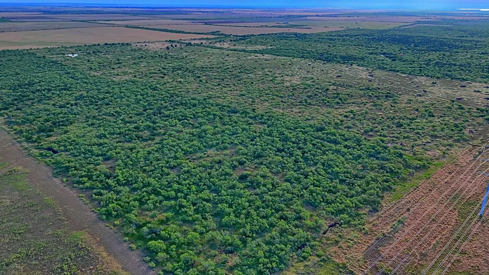 Overview of 669 acre ranch in Hardeman County, Texas