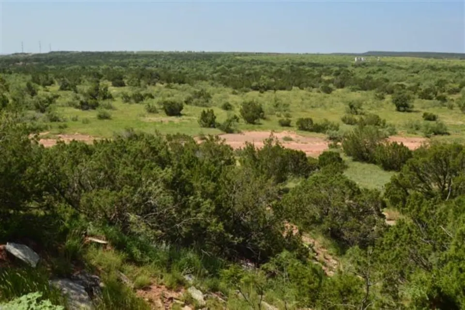 Overview of 679 acre hunting land in Hardeman County, Texas
