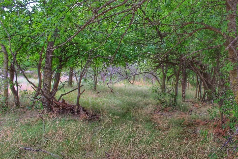 Overview of 691 acre farm in Hardeman County, Texas