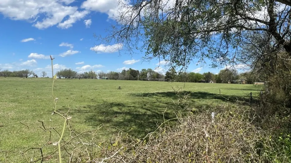Pastureland under blue sky with scattered clouds, framed by trees, 7.5 acres in Rains County, 7.50 acres in Rains County, TX