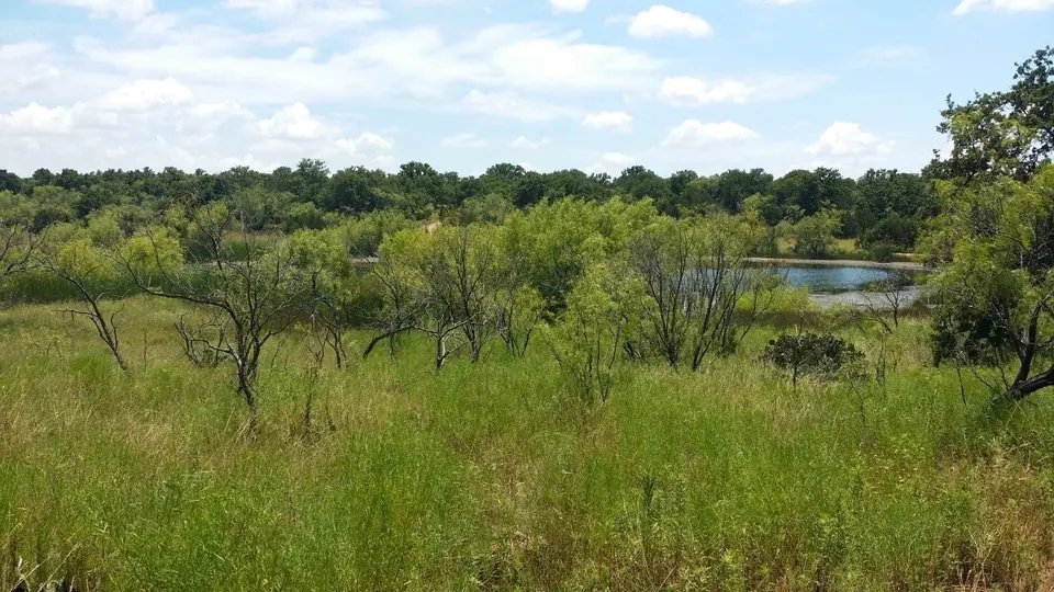 Overview of 70 acre hunting land in Eastland County, Texas