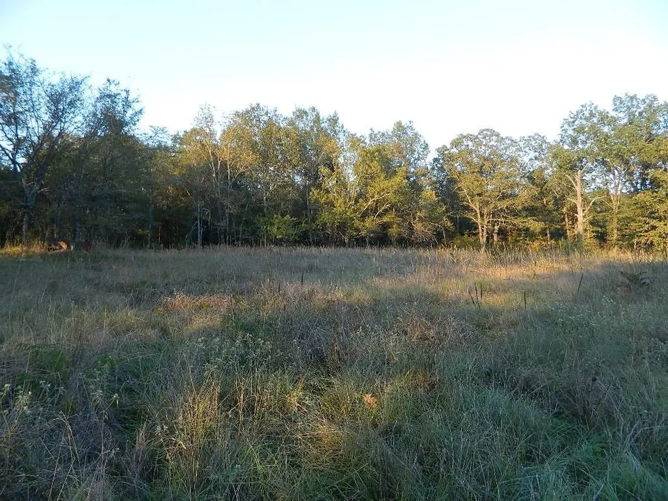 Overview of 70.58 acre ranch in Red River County, Texas