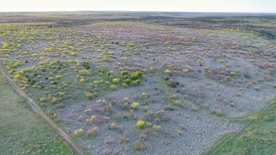 Overview of 743.8 acre hunting land in Foard County, Texas