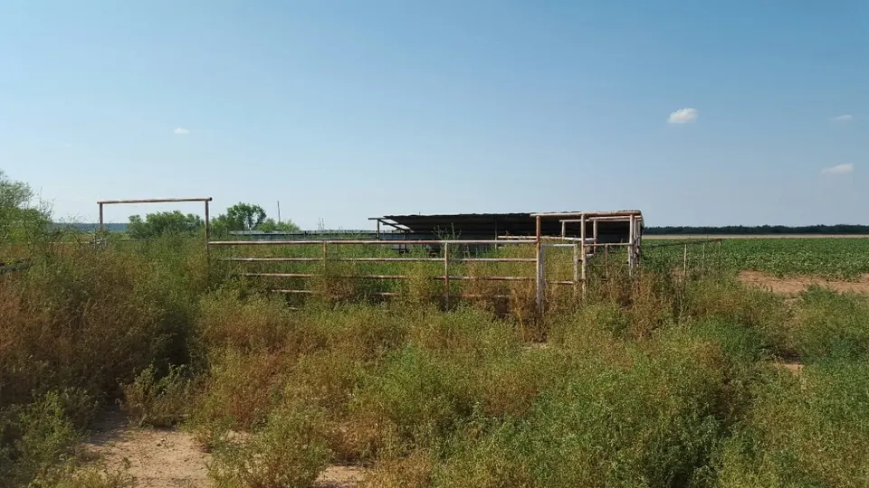 Overview of 76 acre hunting land in Haskell County, Texas