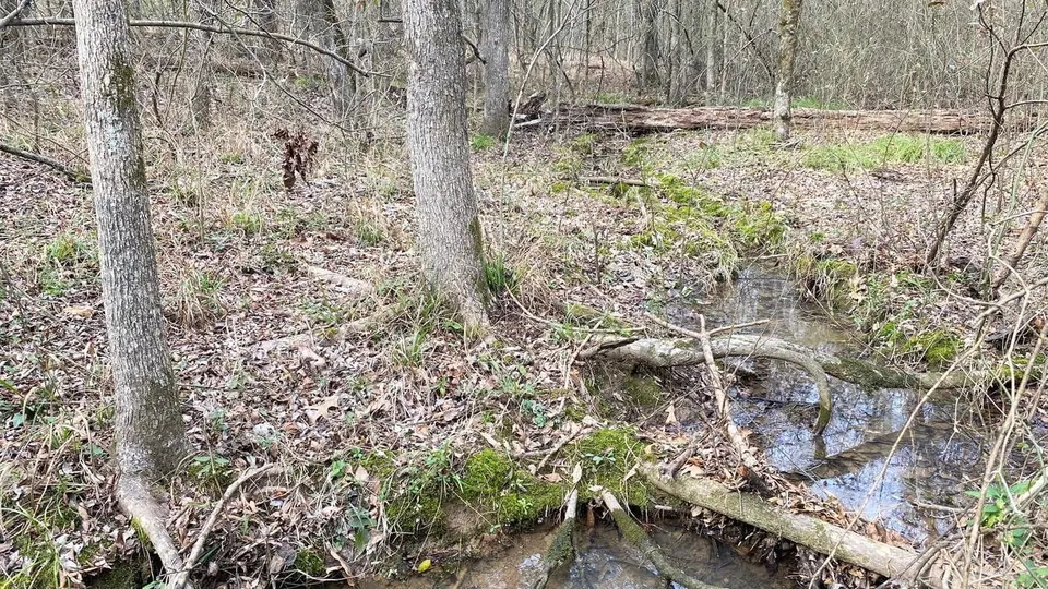 Overview of 8.51 acre ranch in Morris County, Texas
